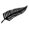 silver fern design